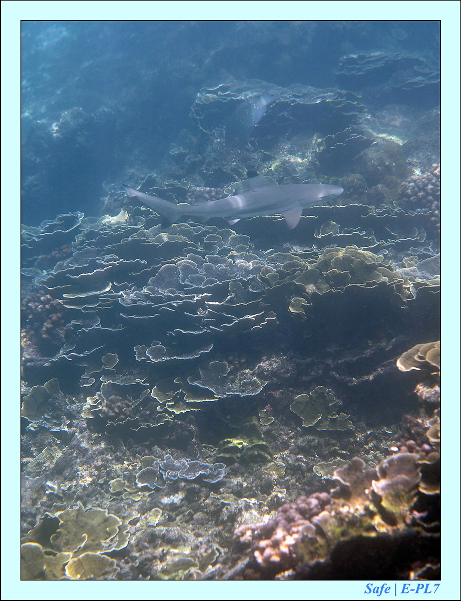 2015   07   Peranthian Islands 53